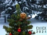 График работы на праздники 2024